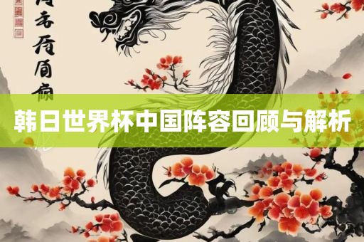 韩日世界杯中国阵容回顾与解析