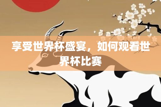 享受世界杯盛宴，如何观看世界杯比赛眉山市正发家政服务有限公司
