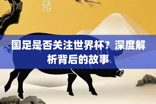 国足是否关注世界杯？深度解析背后的故事