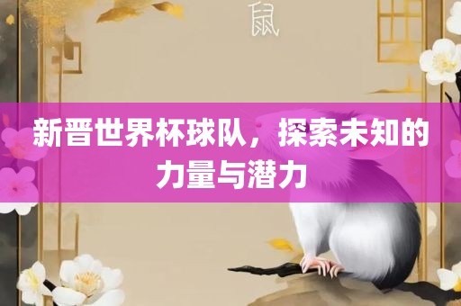 新晋世界杯球队，探索未知的力量与潜力