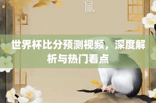世界杯比分预测视频，深度解析与热门看点