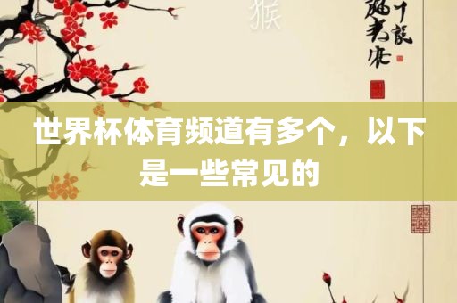 世界杯体育频道有多个，眉山市正发家政服务有限公司以下是一些常见的