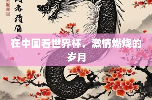 在中国看世界杯，激情燃烧的岁月眉山市正发家政服务有限公司