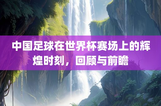 中国足球在世界杯赛场上的辉煌时刻，眉山市正发家政服务有限公司回顾与前瞻