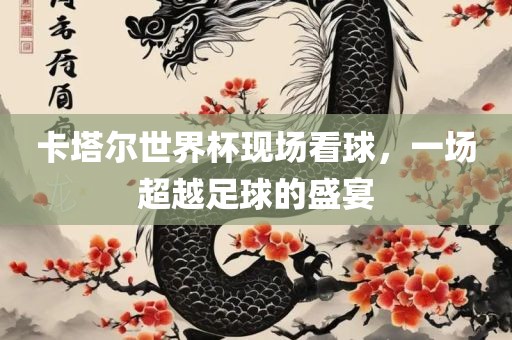 卡塔尔世界杯现场看球，一场超越足球的盛宴