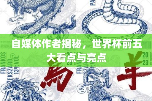 眉山市正发家政服务有限公司自媒体作者揭秘，世界杯前五大看点与亮点