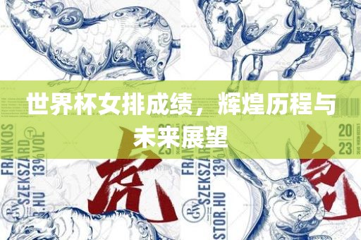 世界杯女排成绩，辉煌历程与未来展望眉山市正发家政服务有限公司