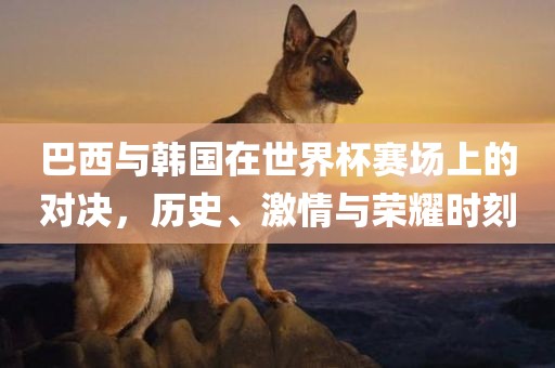 巴西与韩国在世界杯赛场上的对决，历史、激情与荣耀时刻