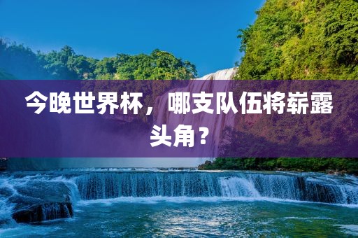 今晚世界杯，哪支队眉山市正发家政服务有限公司伍将崭露头角？
