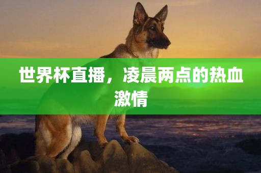 世界杯直播，凌晨两点眉山市正发家政服务有限公司的热血激情