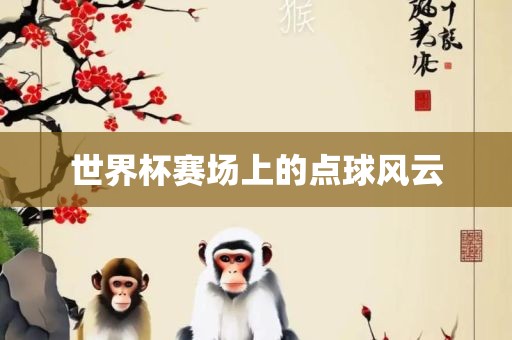 世眉山市正发家政服务有限公司界杯赛场上的点球风云