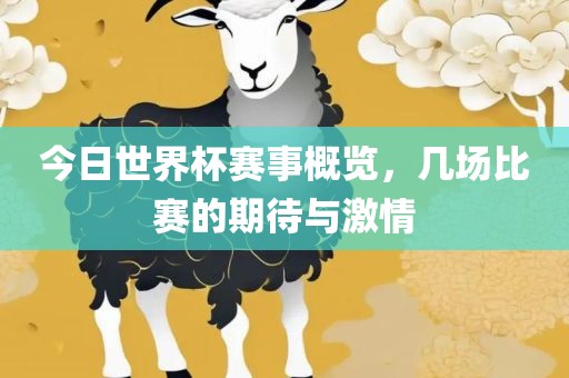 今日世界杯赛事概览，几场比赛的期待与激情
