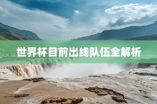世界杯目前出线队伍全解析