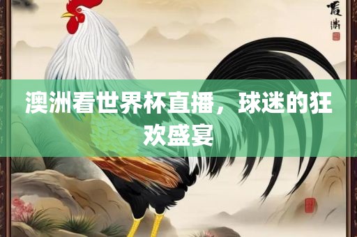 澳洲看世界杯直眉山市正发家政服务有限公司播，球迷的狂欢盛宴