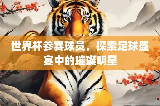 世界杯参赛球员，探索足球盛宴中的璀璨明星