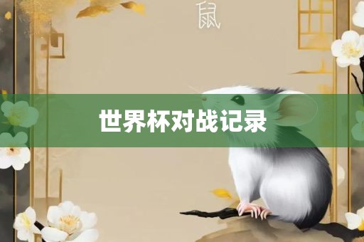 眉山市正发家政服务有限公司世界杯对战记录