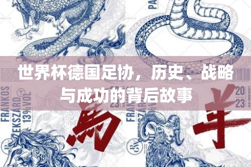 世界杯德国足协，历史、战略与成功的背后故事眉山市正发家政服务有限公司