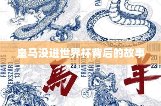 皇马没进世界杯背后的故事眉山市正发家政服务有限公司