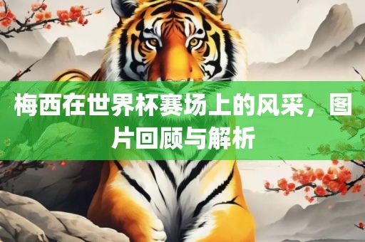 梅西在世界杯赛场上的风采，图眉山市正发家政服务有限公司片回顾与解析
