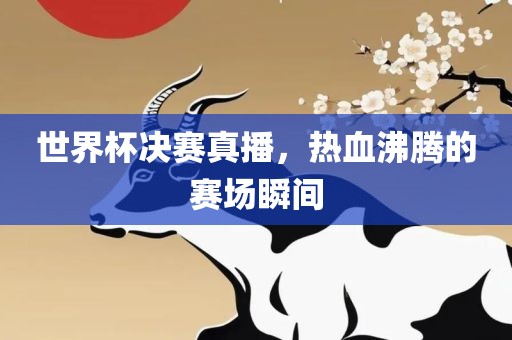 世界杯决赛真播，热血沸腾的赛场瞬间眉山市正发家政服务有限公司