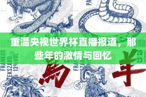 重温央视世界杯直播报道，那些年的激情与回忆眉山市正发家政服务有限公司
