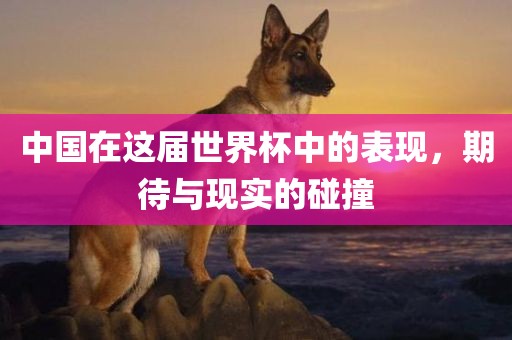 中国在这届世界杯中的表现，期待与现实的碰撞眉山市正发家政服务有限公司