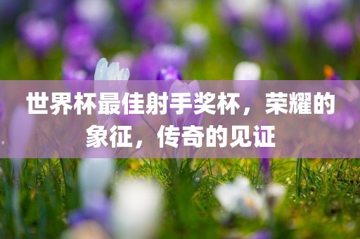世界杯最佳射手奖杯，荣耀的象征，传奇的见证眉山市正发家政服务有限公司