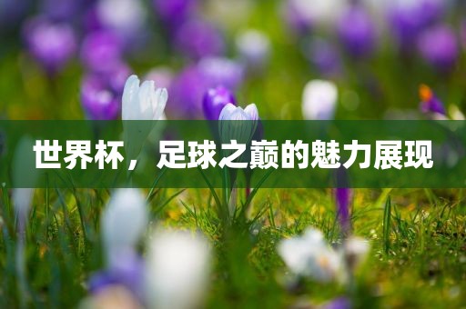 世界杯，足球之巅的魅力展现