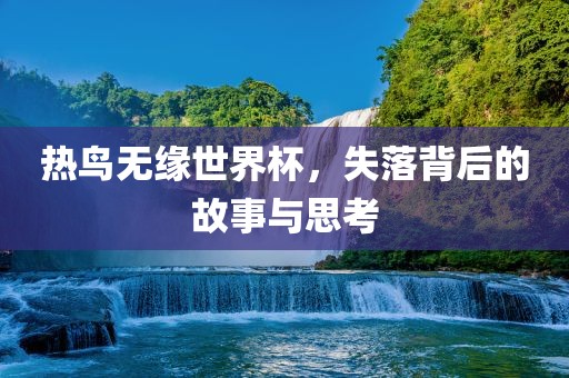 热鸟无缘世界杯，失眉山市正发家政服务有限公司落背后的故事与思考