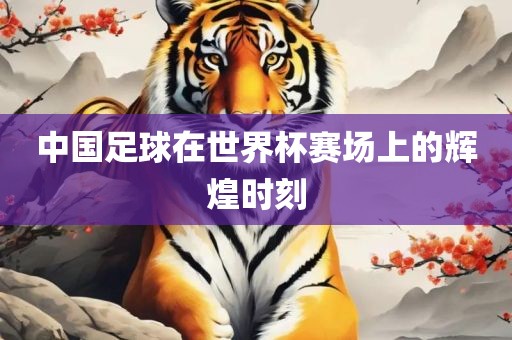 中国足球在世界杯赛场上的辉煌时刻