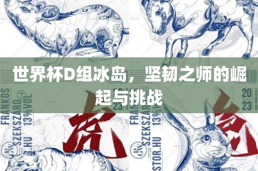 世界杯D组冰岛，坚韧之师的崛起与挑战