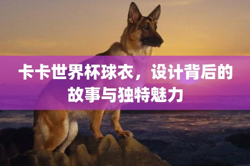 卡卡世界杯球衣，设计背后的故事与独特魅力