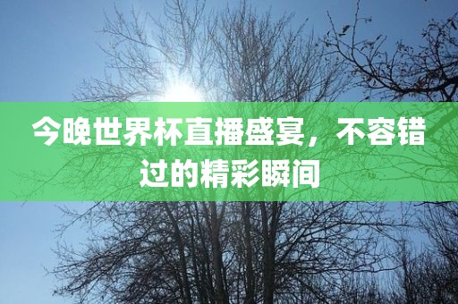 今晚世界杯直播盛宴眉山市正发家政服务有限公司，不容错过的精彩瞬间