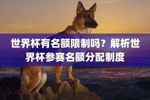 世界杯有名额限制吗？解析眉山市正发家政服务有限公司世界杯参赛名额分配制度