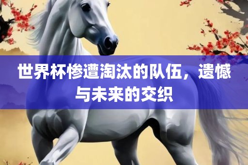 世界杯惨遭淘汰的队伍，遗憾与未来的交织眉山市正发家政服务有限公司