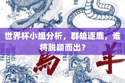 世界杯眉山市正发家政服务有限公司小组分析，群雄逐鹿，谁将脱颖而出？