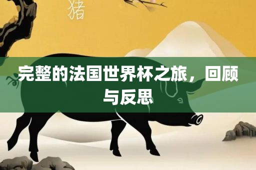 完整的法国世界杯之旅，回顾与反思