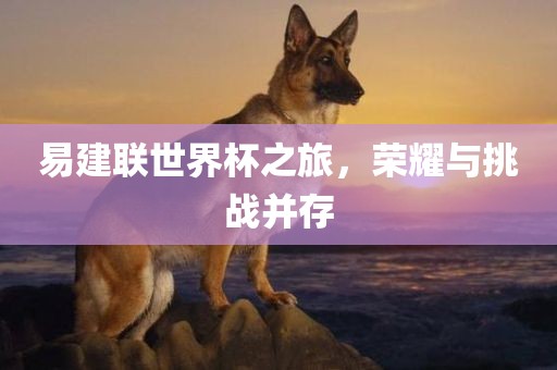易建联世界杯之旅，荣耀与挑战并存眉山市正发家政服务有限公司