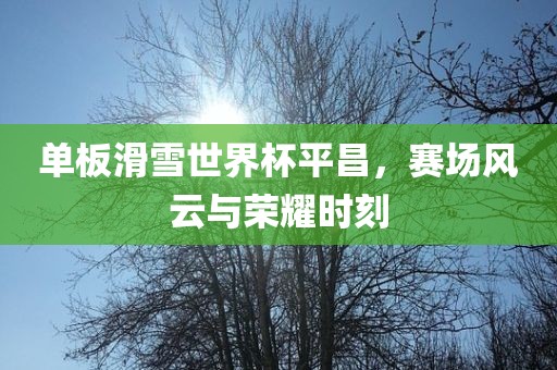 单板滑雪世界杯平昌，赛场风云与荣耀时刻眉山市正发家政服务有限公司