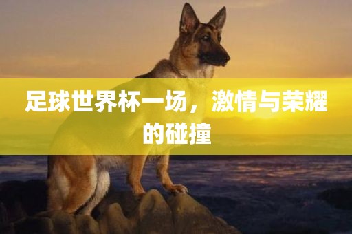 足球世界杯一场，激情与荣耀的碰撞