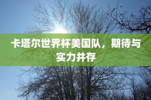 卡塔尔世界杯美国队，期待与实力并存眉山市正发家政服务有限公司