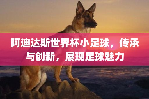 阿迪达斯世界杯小足球，传承与创新，展现足球魅力眉山市正发家政服务有限公司