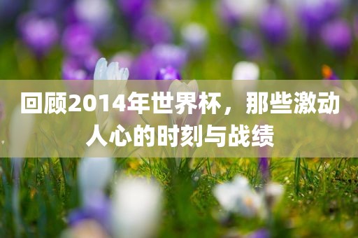 回顾2014年世界杯，那些激动人心的时刻与战绩眉山市正发家政服务有限公司