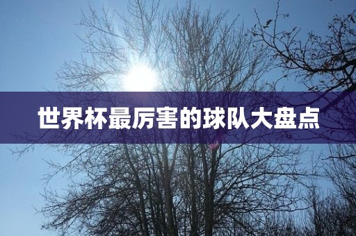 世界杯最厉害的球队大盘点眉山市正发家政服务有限公司