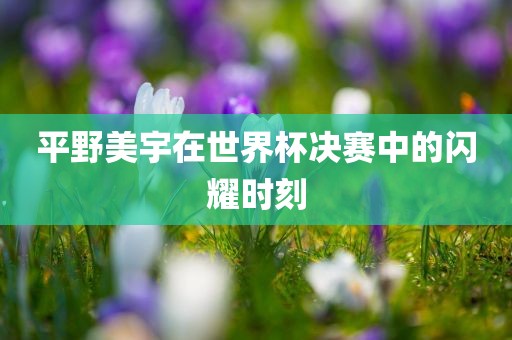 平野美宇在世界杯决赛中的闪耀时刻眉山市正发家政服务有限公司