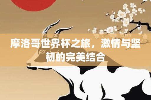 摩洛哥世界杯之旅，激情与坚韧的完美结合眉山市正发家政服务有限公司
