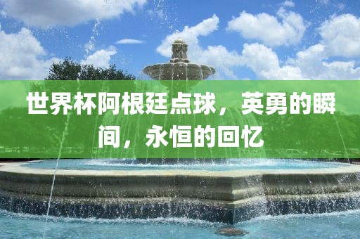 世界杯阿根廷点球，英勇的瞬间，永恒的回忆眉山市正发家政服务有限公司