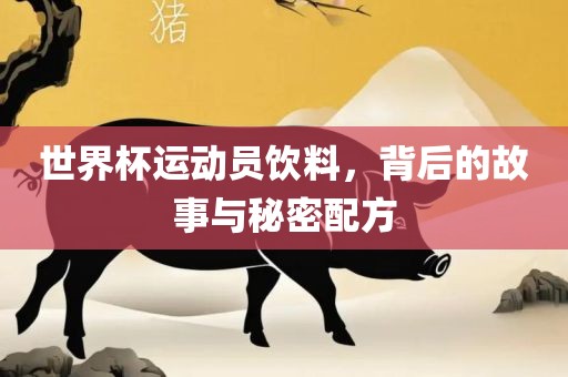 世界杯运动员饮料，眉山市正发家政服务有限公司背后的故事与秘密配方