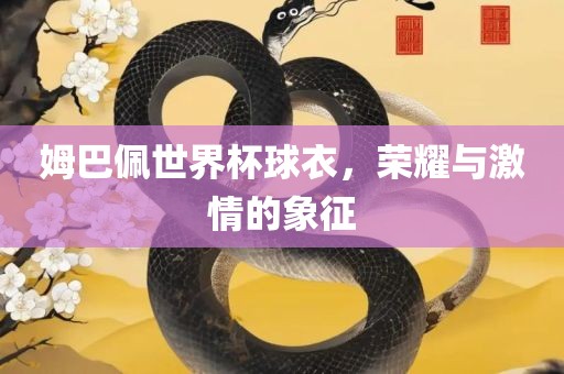 姆巴佩世界杯球衣，荣耀与激情的象征