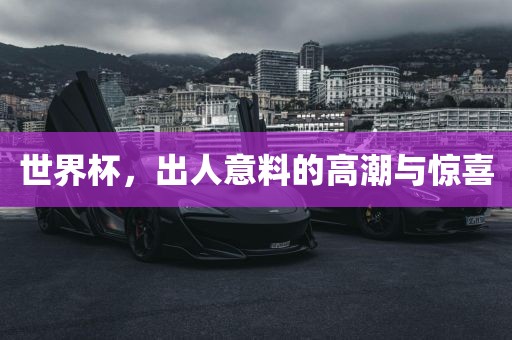 世界杯，出人意料的高潮与惊喜眉山市正发家政服务有限公司